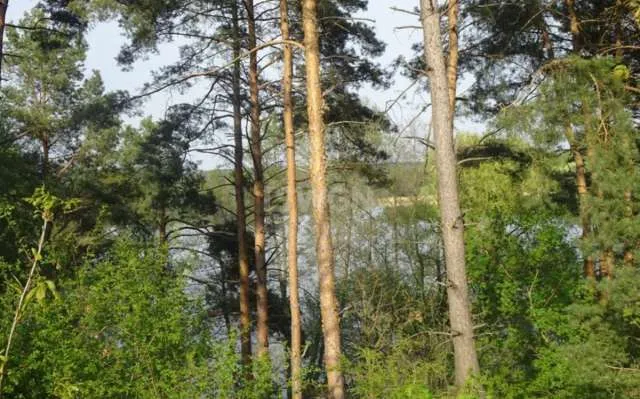 Działka na sprzedaż Radoszki